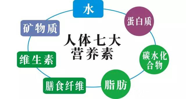 七大營養(yǎng)素與人體健康的關(guān)系