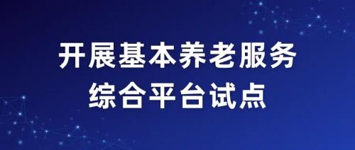 民政部 國家數(shù)據(jù)局關于組織開展基本養(yǎng)老服務綜合平臺試點的通知